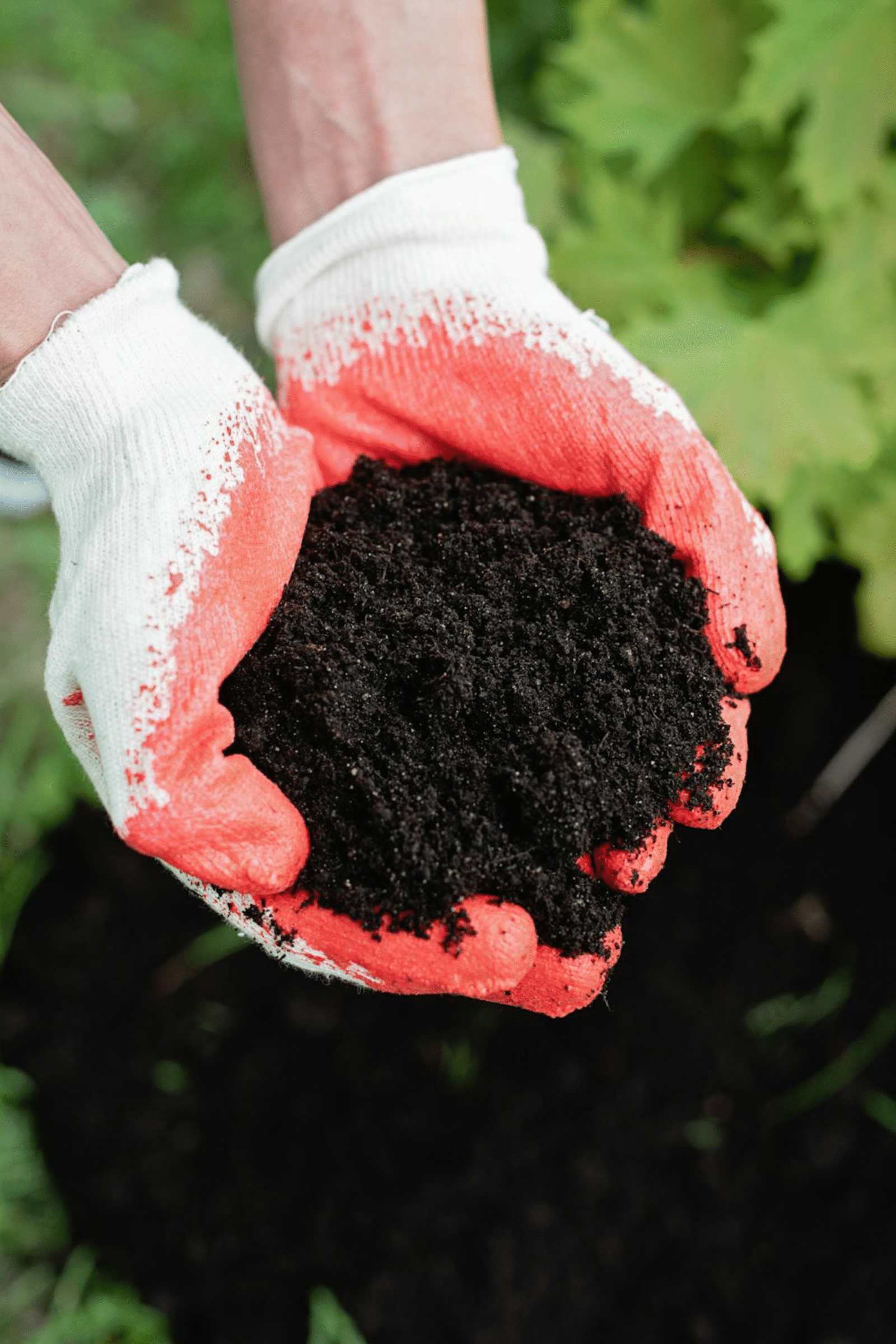Organic Fertilizer Raipur