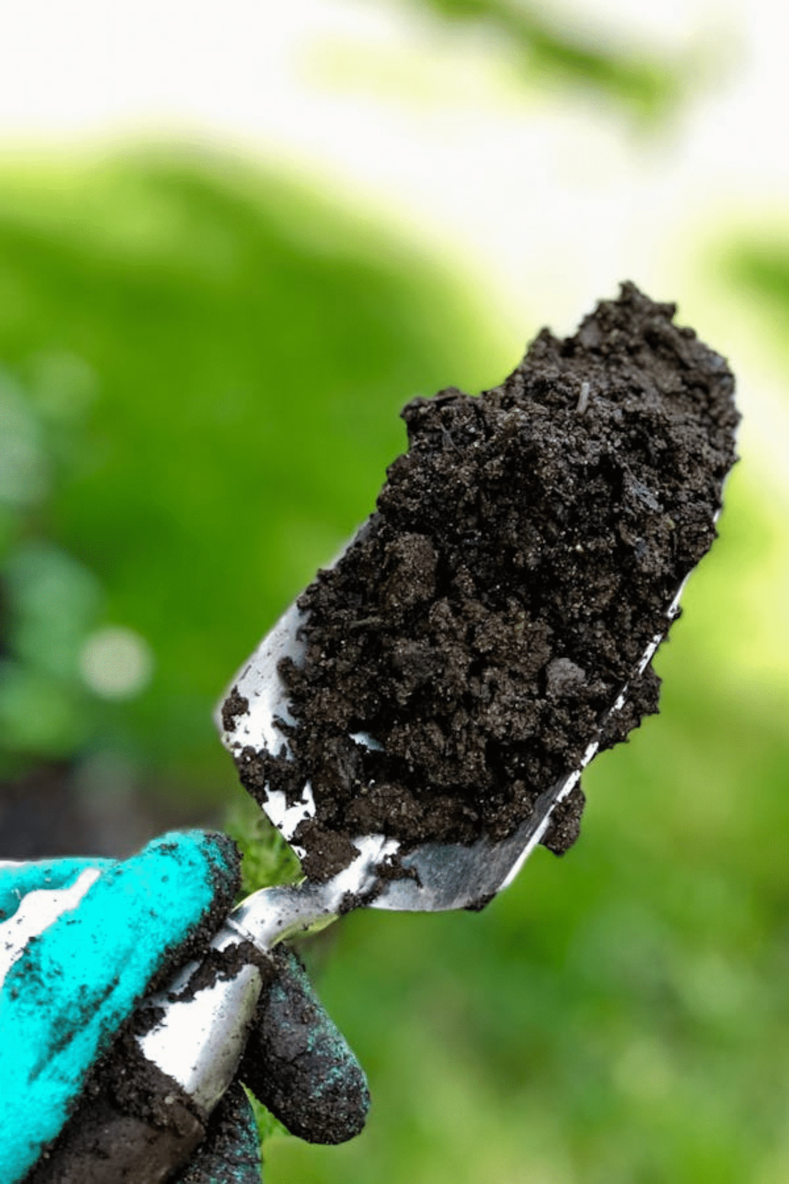 Organic Fertilizer Raipur