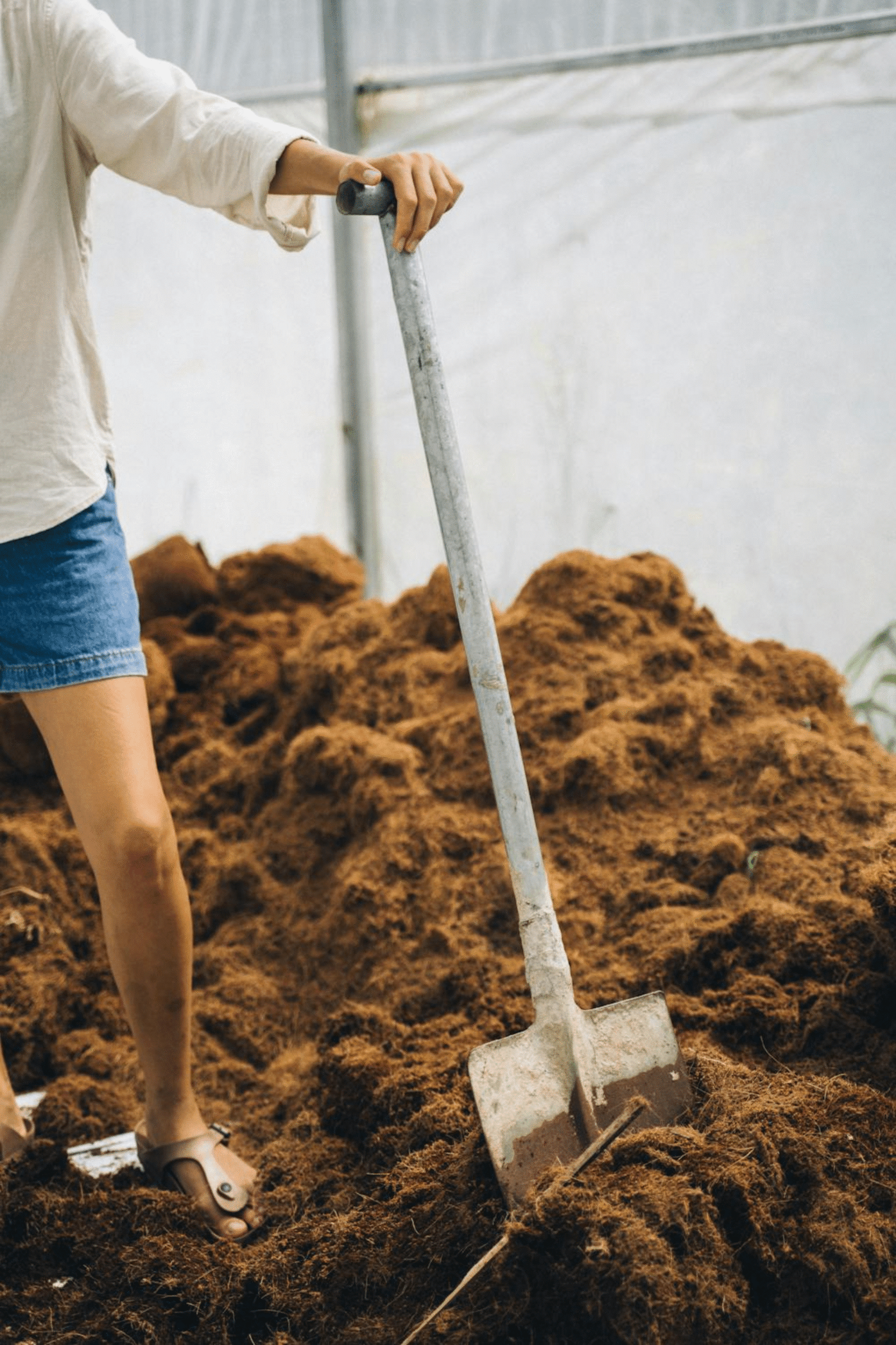 Organic Fertilizer Raipur